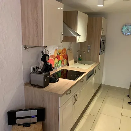 Kuckucksnest Jostal * ティティゼー・ノイシュタット